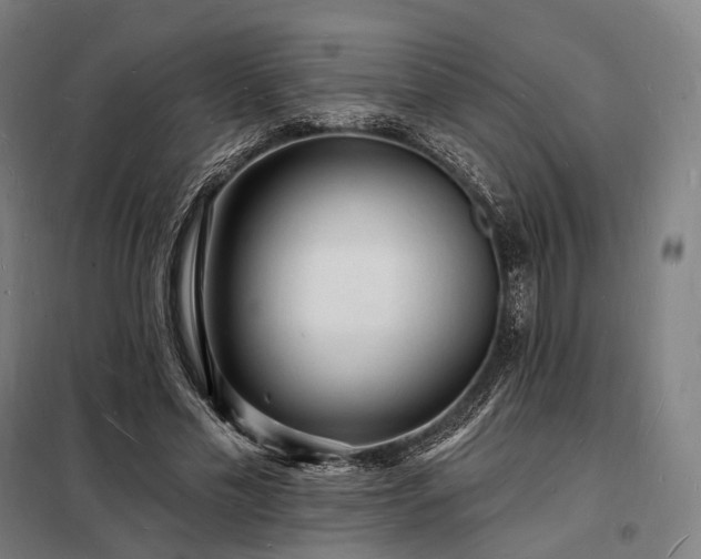 X0000098230589200805011259