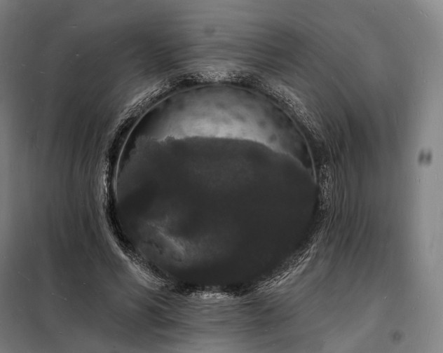 X0000098230590200805011259