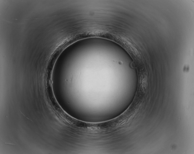 X0000098230591200805011259