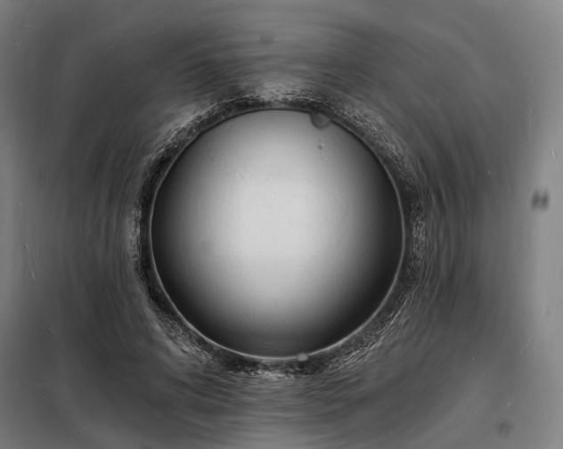 X0000098230592200805011259
