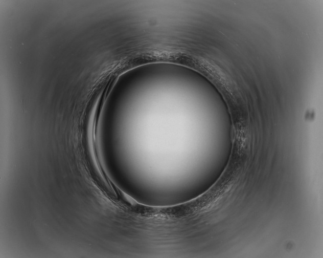 X0000098230593200805011259