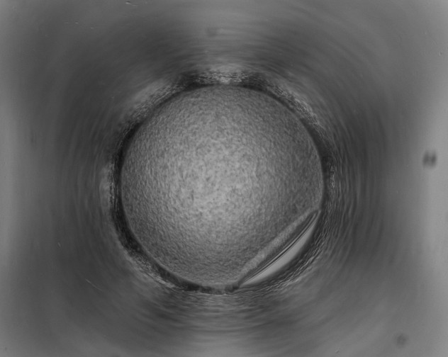 X0000098230594200805011259