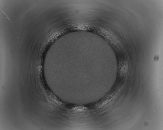 X0000098230595200805011259