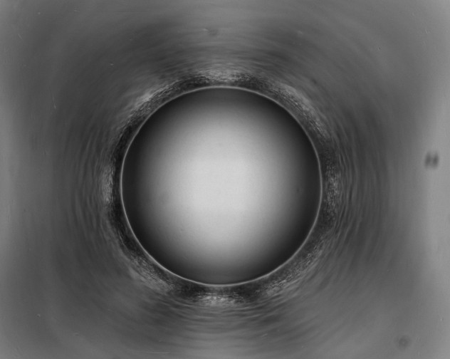 X0000098230596200805011259