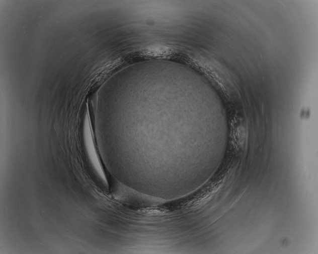 X0000098230597200805011259