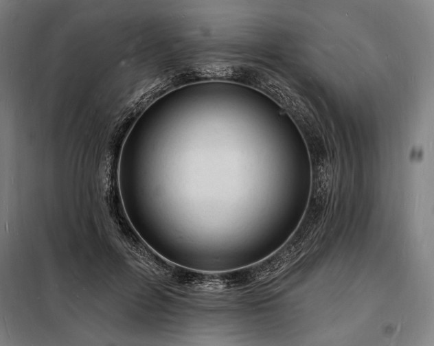 X0000098230600200805011259