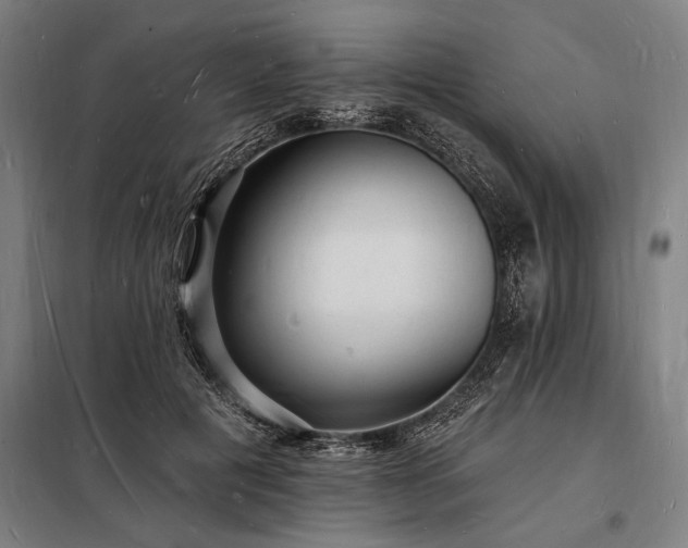X0000098230601200805011259