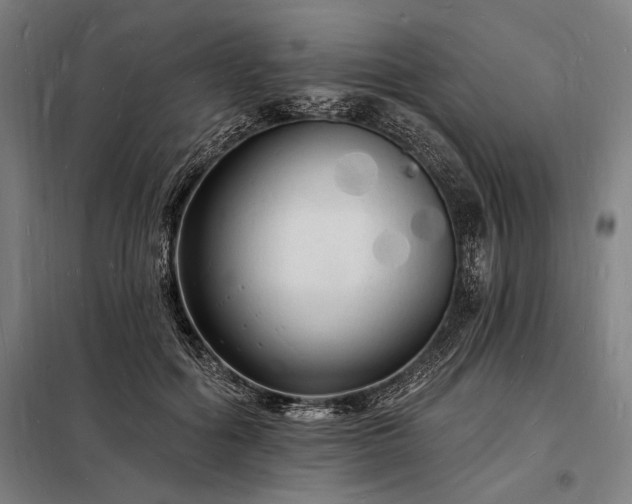 X0000098230602200805011259