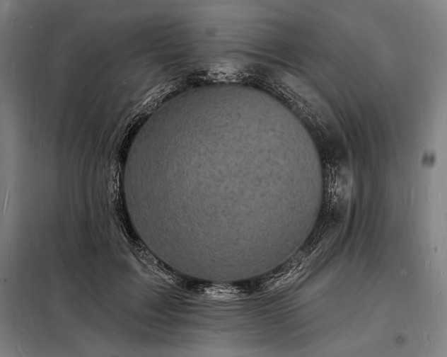 X0000098230603200805011259