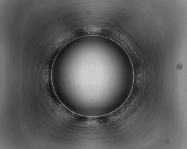 X0000098230604200805011259