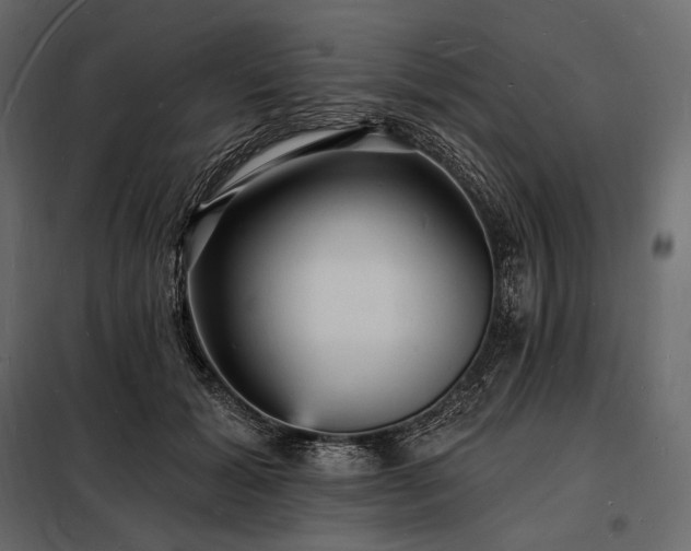 X0000098230605200805011259