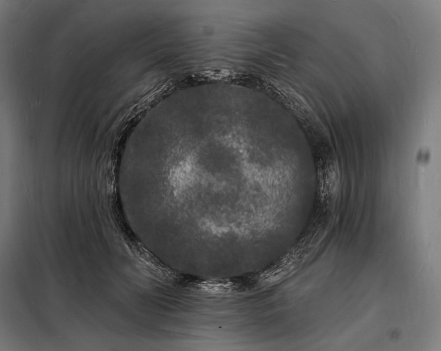 X0000098230606200805011259