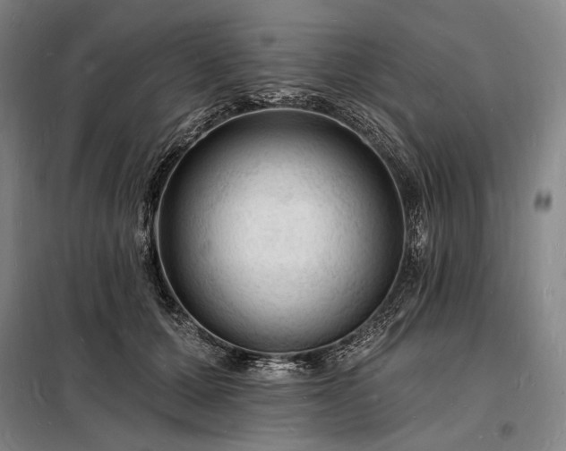 X0000098230607200805011259