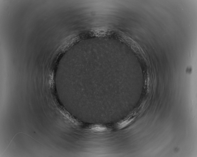 X0000098230610200805011259