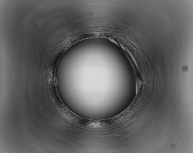 X0000098230611200805011259