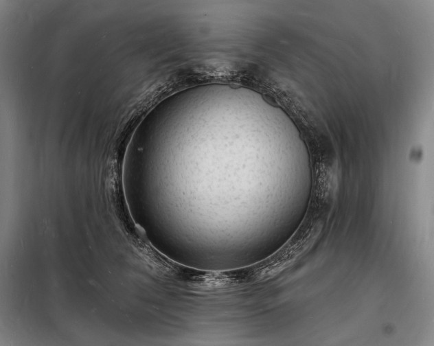 X0000098230612200805011259