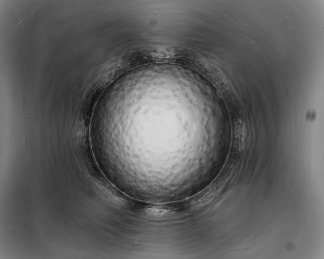 X0000098230614200805011259