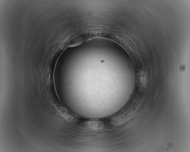 X0000098230615200805011259