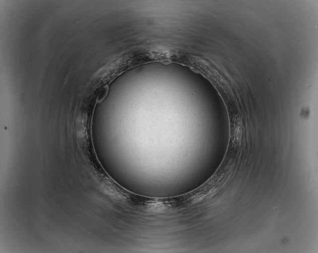 X0000098230616200805011259