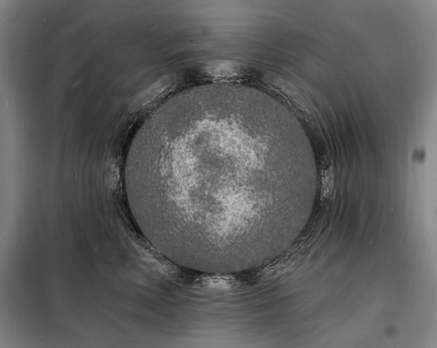 X0000098230618200805011259