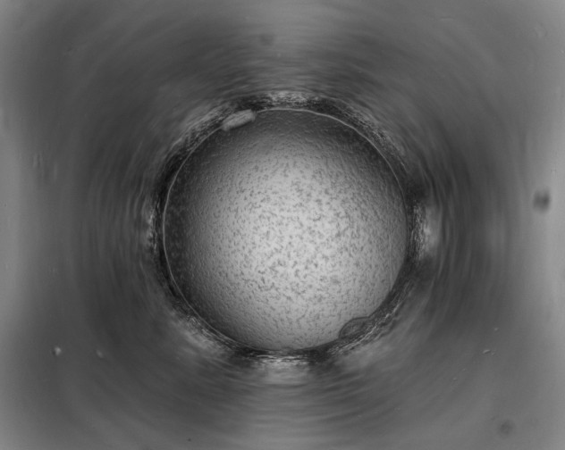 X0000098230619200805011259