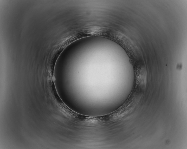 X0000098230620200805011259