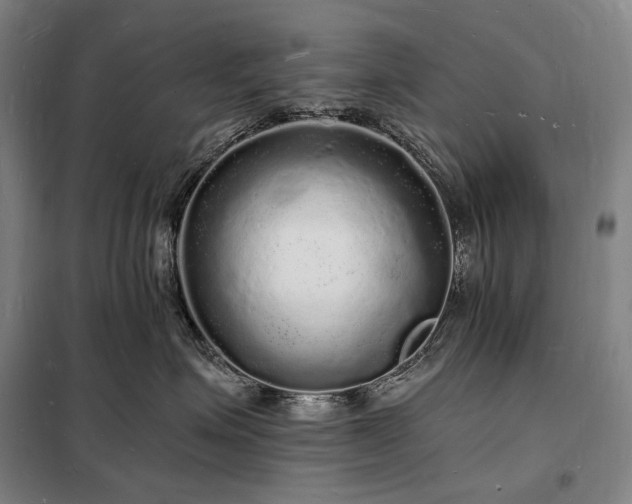 X0000098230623200805011259