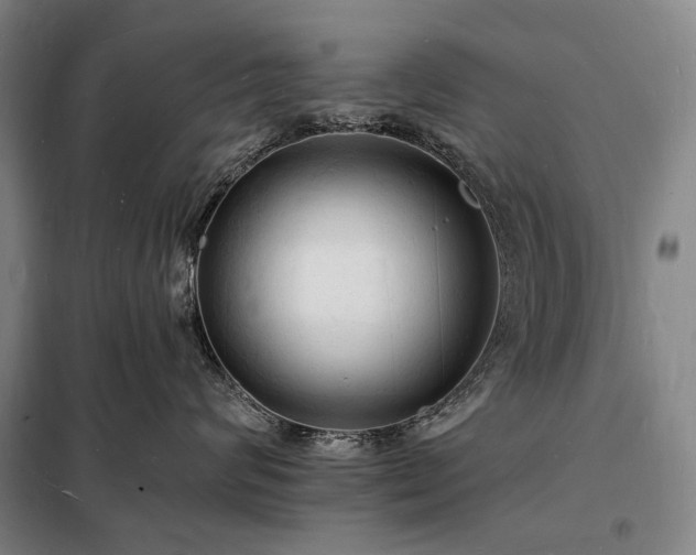 X0000098230624200805011259