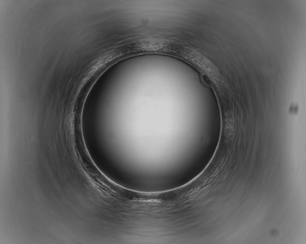 X0000098230626200805011258