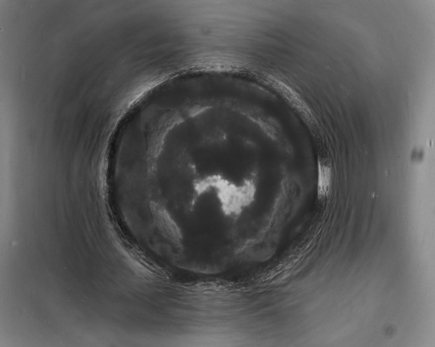 X0000098230627200805011258