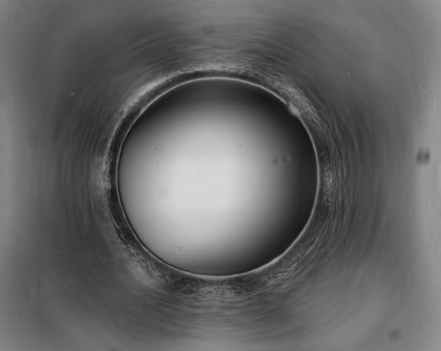 X0000098230628200805011258
