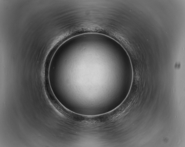 X0000098230630200805011258