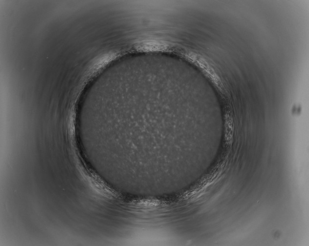 X0000098230631200805011258