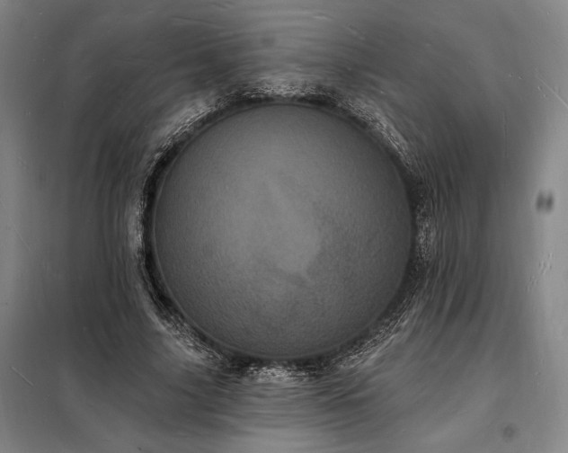 X0000098230635200805011258