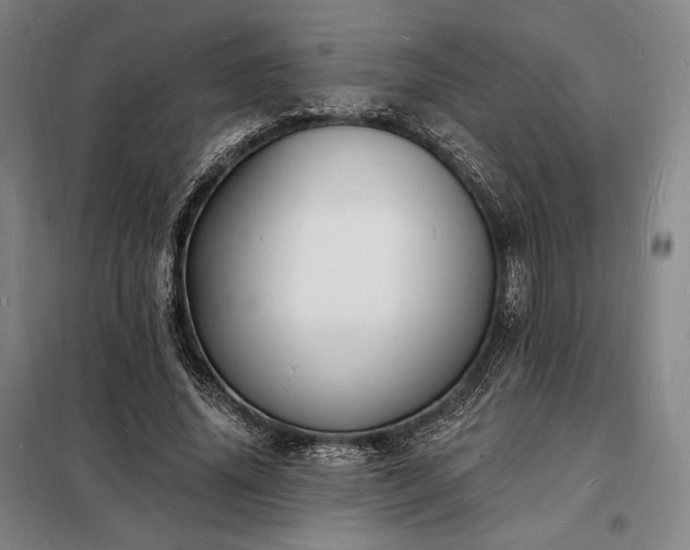 X0000098230636200805011258
