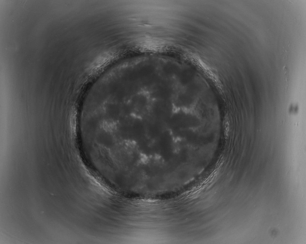 X0000098230637200805011258