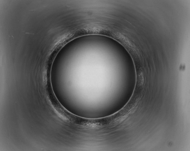 X0000098230638200805011258