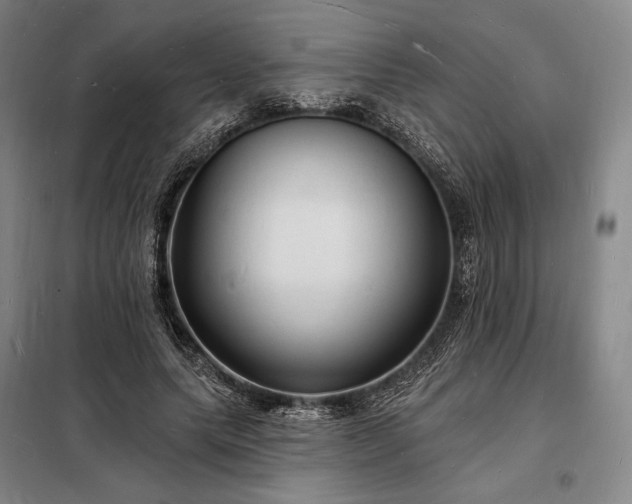 X0000098230639200805011258