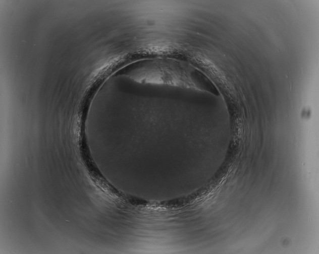 X0000098230640200805011258