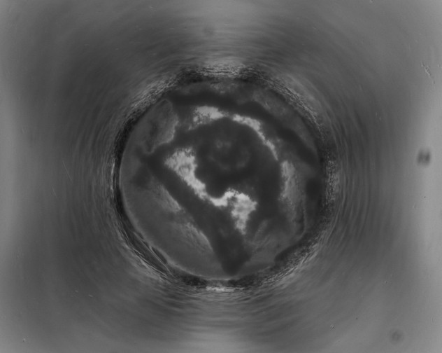 X0000098230641200805011258
