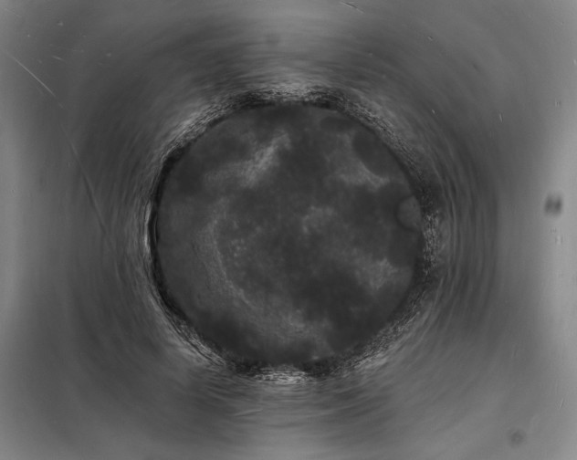X0000098230642200805011258