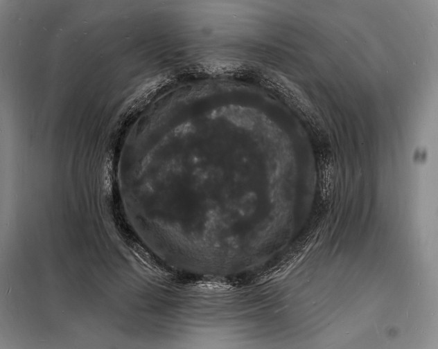 X0000098230644200805011258