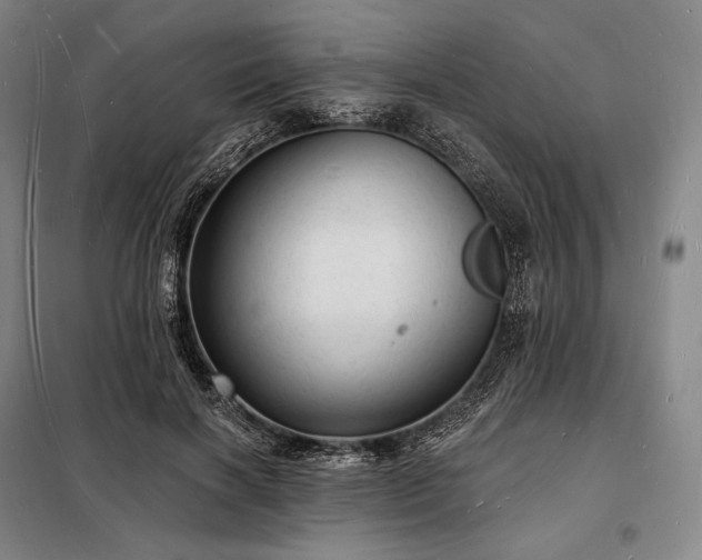 X0000098230646200805011258