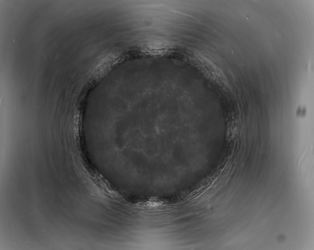 X0000098230647200805011258