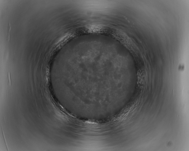 X0000098230648200805011258