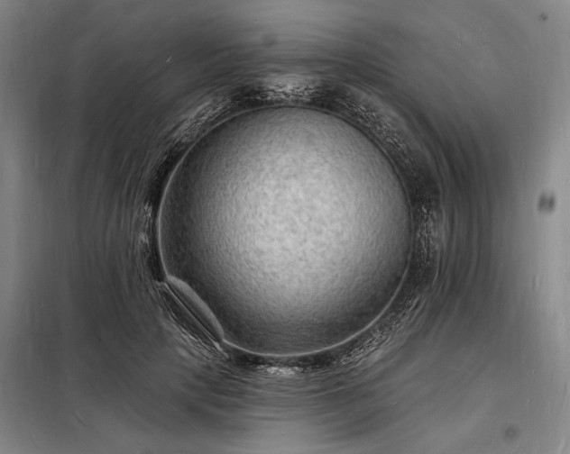 X0000098230649200805011258