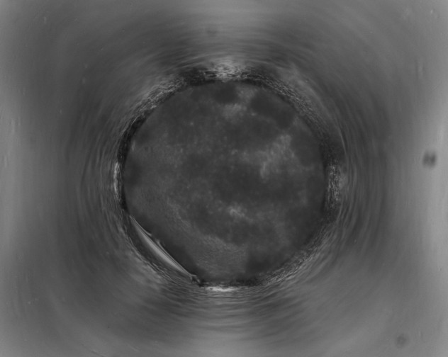 X0000098230650200805011258