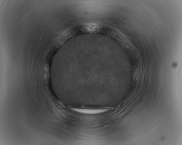 X0000098230651200805011258