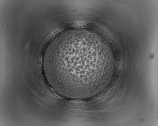 X0000098230652200805011258