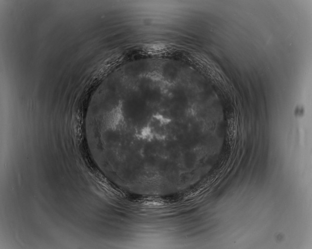 X0000098230653200805011258